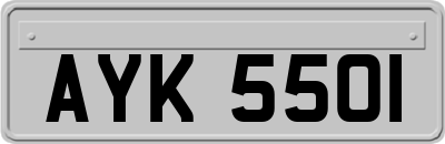 AYK5501