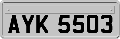 AYK5503