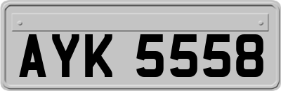AYK5558