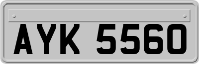 AYK5560