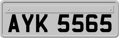 AYK5565