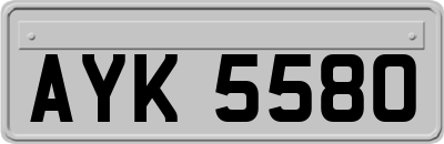 AYK5580