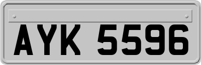 AYK5596