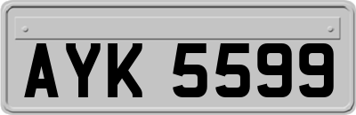 AYK5599