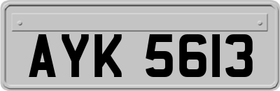 AYK5613