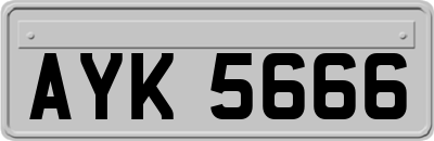 AYK5666