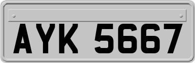 AYK5667