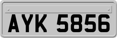 AYK5856