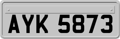 AYK5873