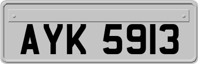 AYK5913
