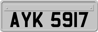 AYK5917