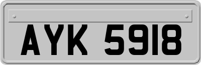 AYK5918