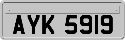 AYK5919
