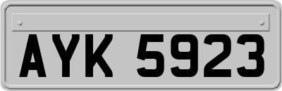 AYK5923