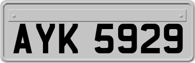 AYK5929