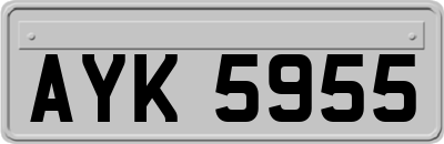 AYK5955