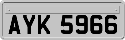 AYK5966