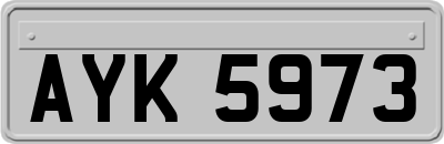 AYK5973