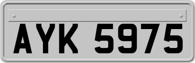 AYK5975