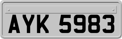 AYK5983