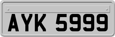 AYK5999