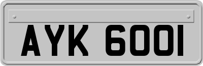 AYK6001