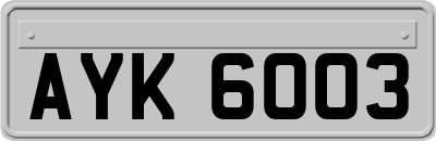 AYK6003