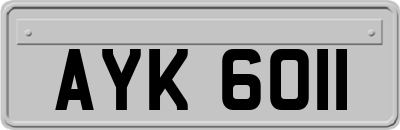 AYK6011