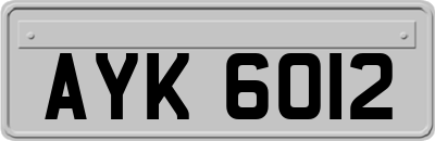 AYK6012