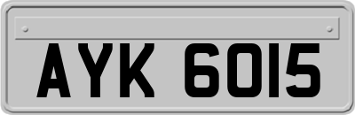 AYK6015
