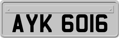 AYK6016