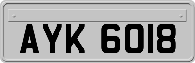 AYK6018