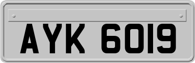 AYK6019