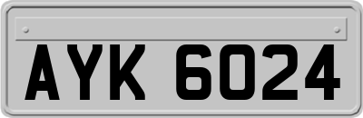 AYK6024