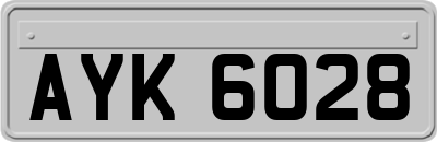 AYK6028