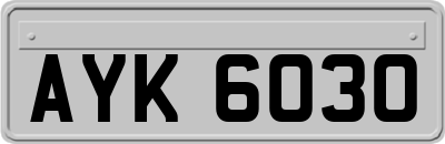 AYK6030