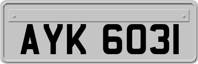 AYK6031
