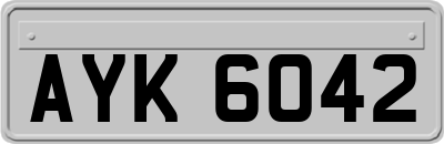 AYK6042