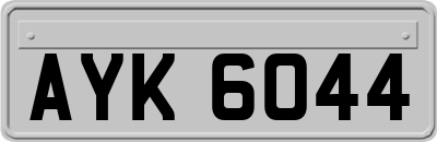 AYK6044