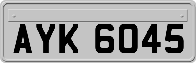 AYK6045