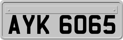 AYK6065