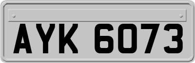 AYK6073