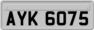 AYK6075