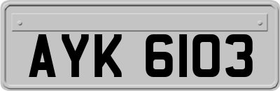 AYK6103
