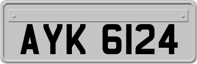 AYK6124