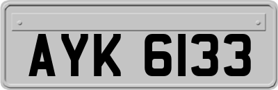 AYK6133