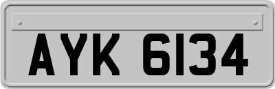 AYK6134