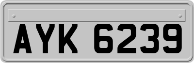AYK6239