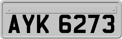 AYK6273