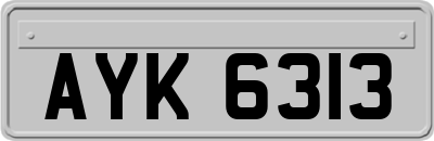 AYK6313